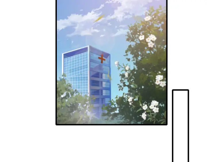 漫画《名门挚爱》第269 可可，对不起第43张图
