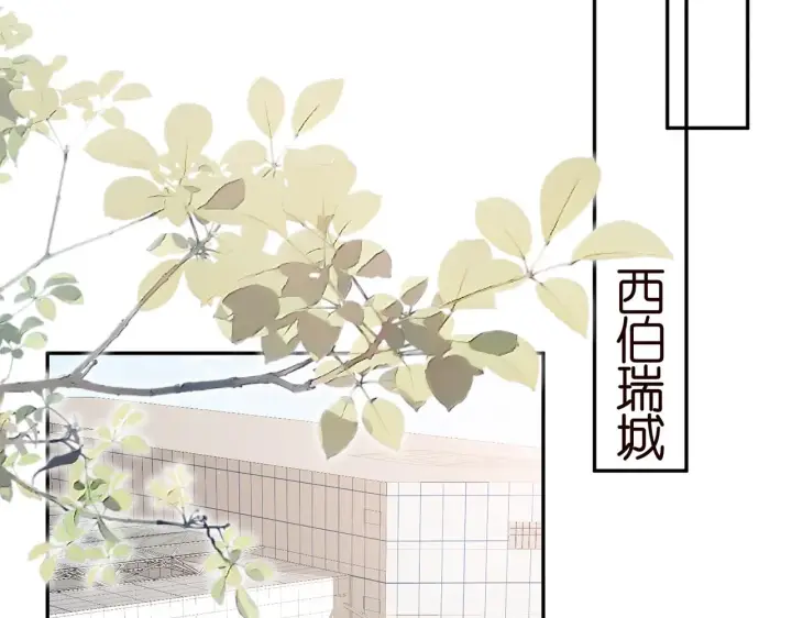 漫画《名门挚爱》第381 两难的北冥夜第66张图