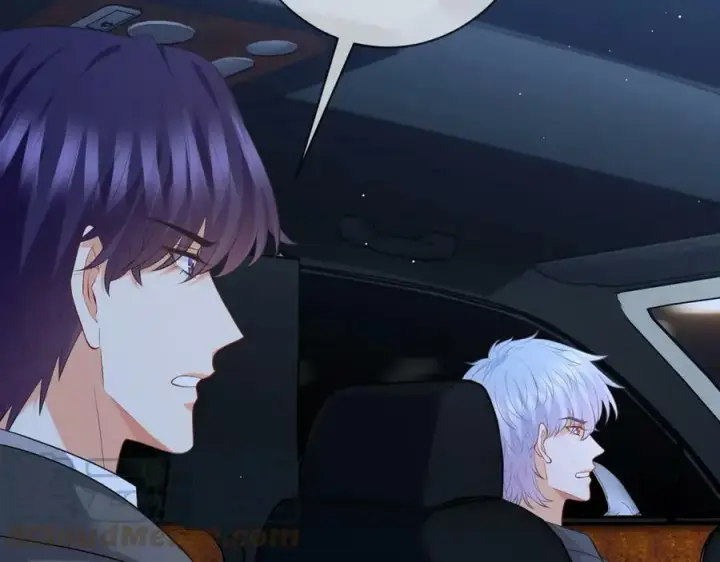 《名门挚爱》第444 菜鸡互啄图41