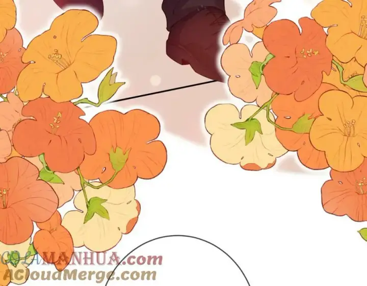 《名门挚爱》第472 岳清雅的嫉妒图17