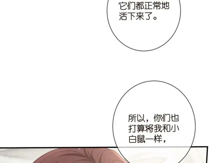 漫画《名门挚爱》第477 飞鹰的秘密第15张图