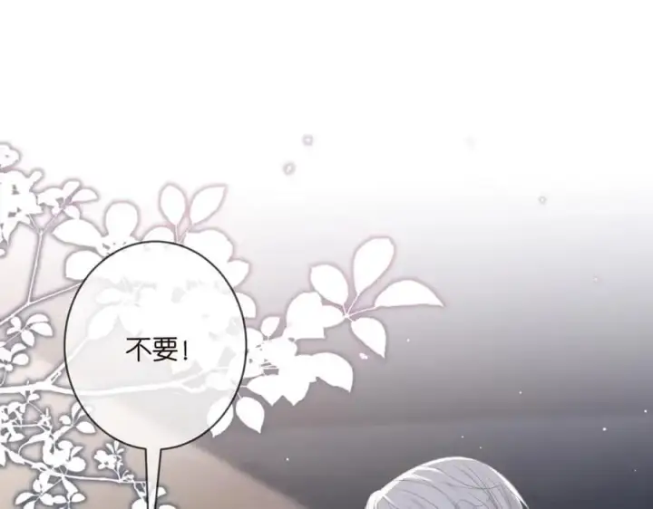 漫画《名门挚爱》第492 白桦的忠心第4张图