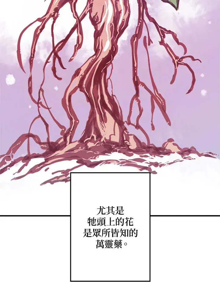 漫画《魔导王》第2话第57张图