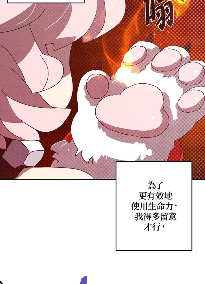 漫画《魔导王》第63话第15张图