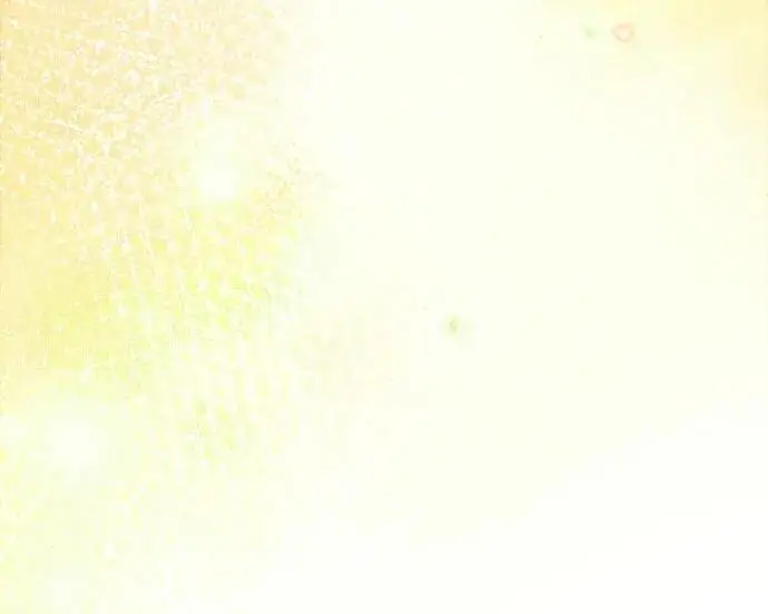 《魔法学院的伪装教师》[第165话] 精灵同化图149