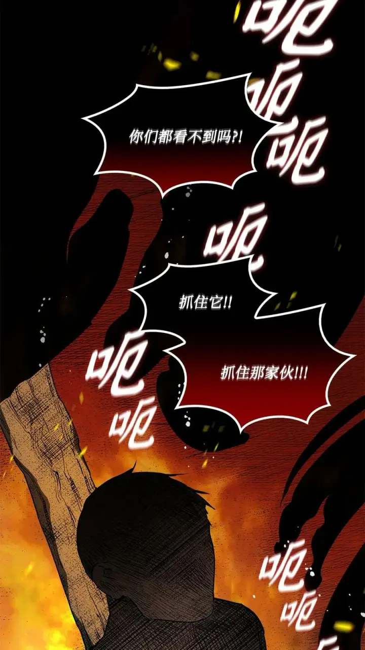 漫画《魔鬼》35 火刑第66张图