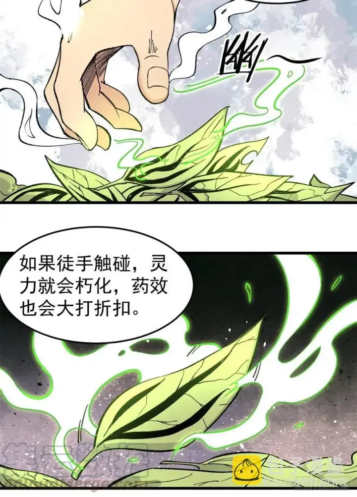 漫画《万古最强宗》62 魏老第25张图