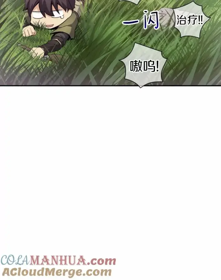 《魔弹射手》9.野狼图41