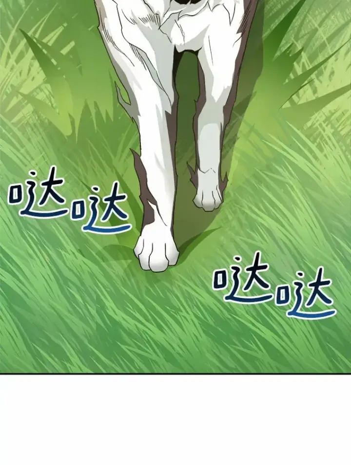 《魔弹射手》9.野狼图43