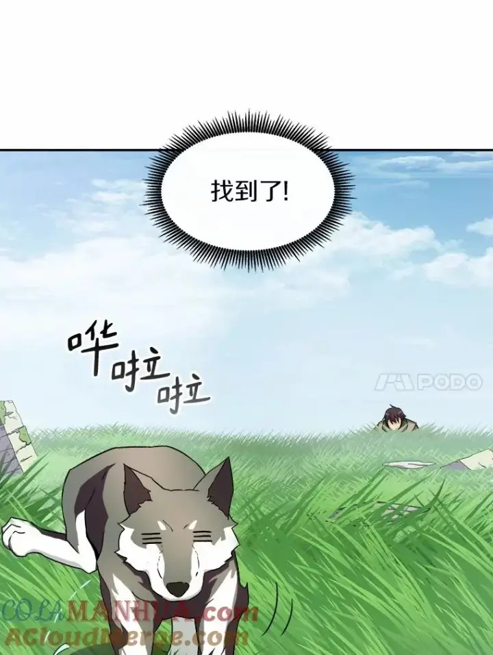 《魔弹射手》9.野狼图45