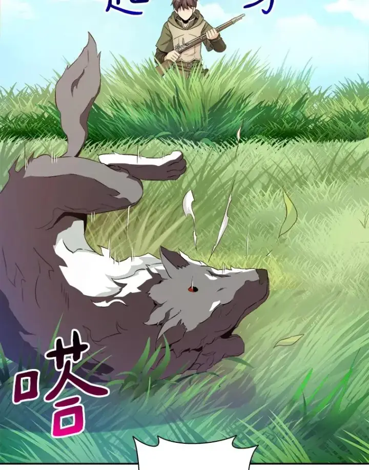 《魔弹射手》9.野狼图63