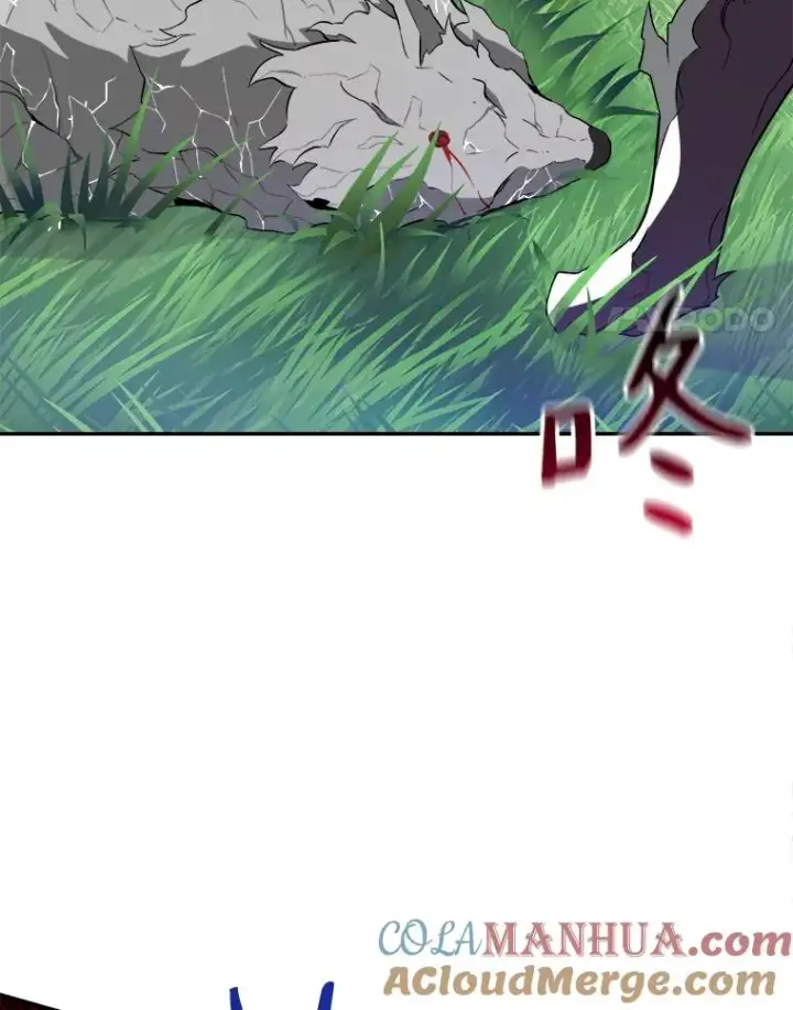 《魔弹射手》9.野狼图65