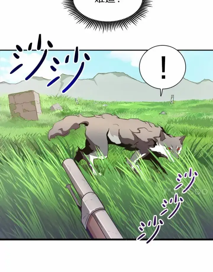 《魔弹射手》9.野狼图78