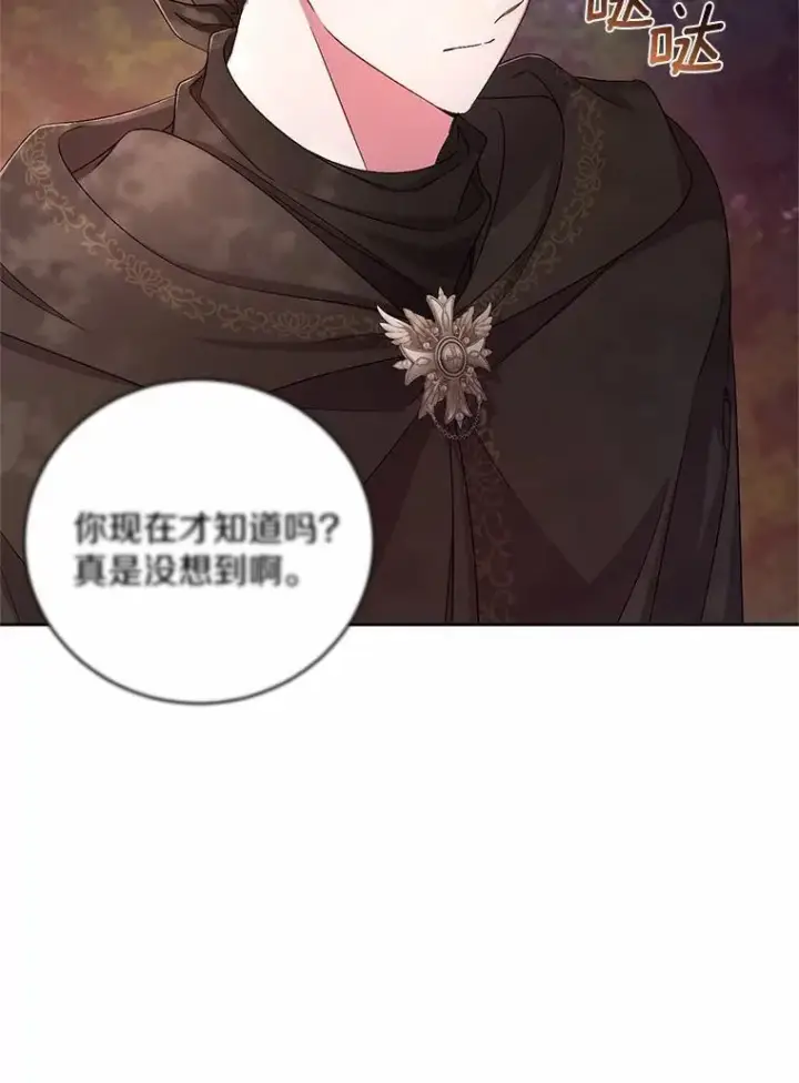《魔王的人偶管家》37.临时伴侣图61