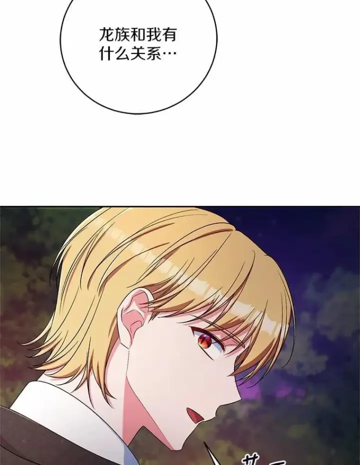 《魔王的人偶管家》37.临时伴侣图66