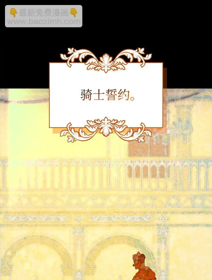 《无限魔法师》13 骑士誓约图83