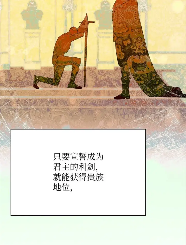 《无限魔法师》13 骑士誓约图84