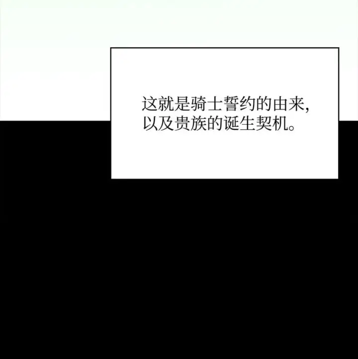 《无限魔法师》13 骑士誓约图85