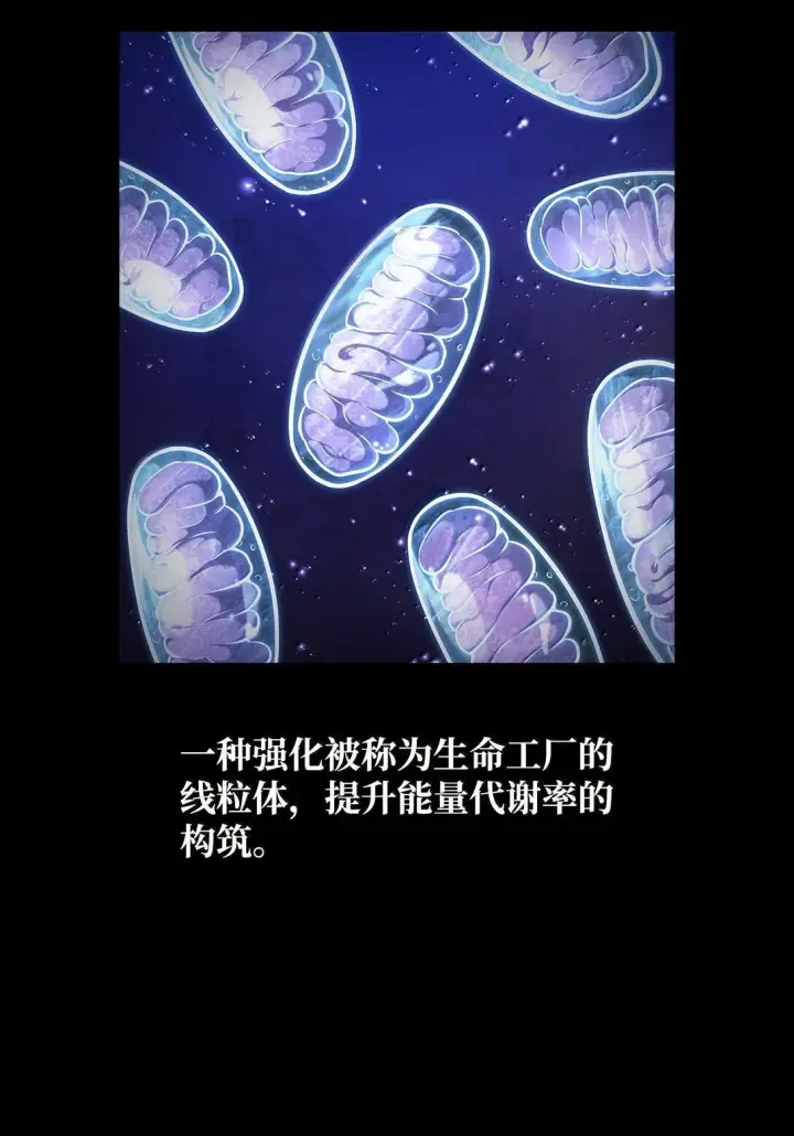 漫画《无限魔法师》76 线粒体构筑第31张图