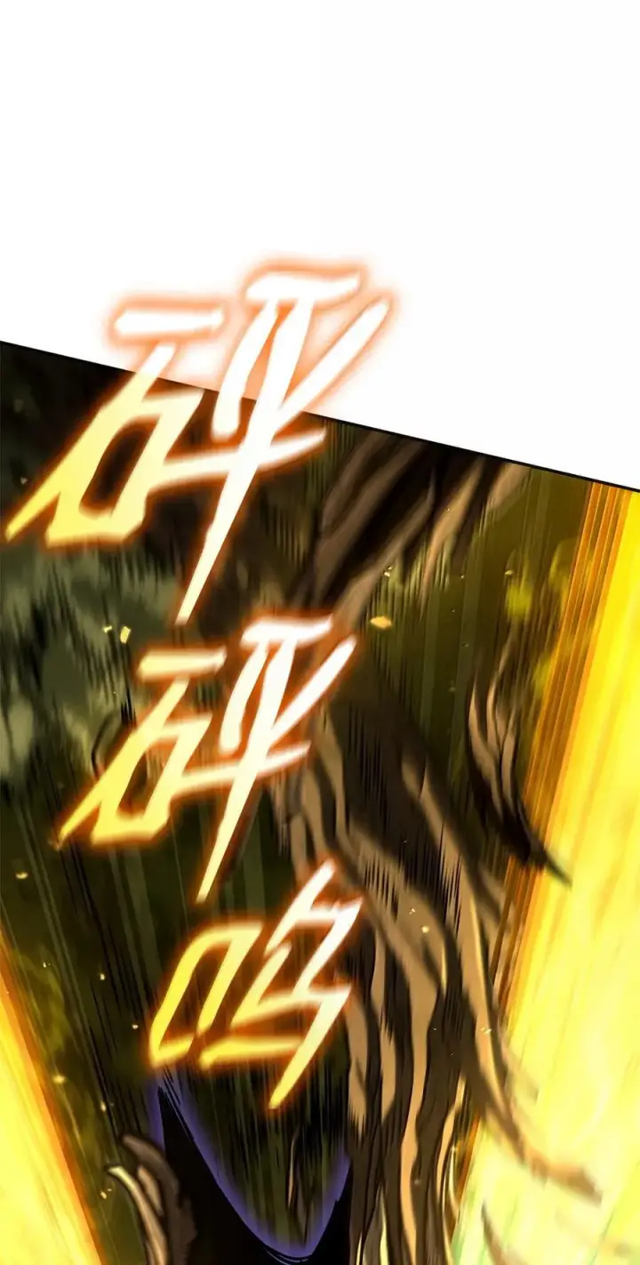 《无限魔法师》79 光与黑暗图18