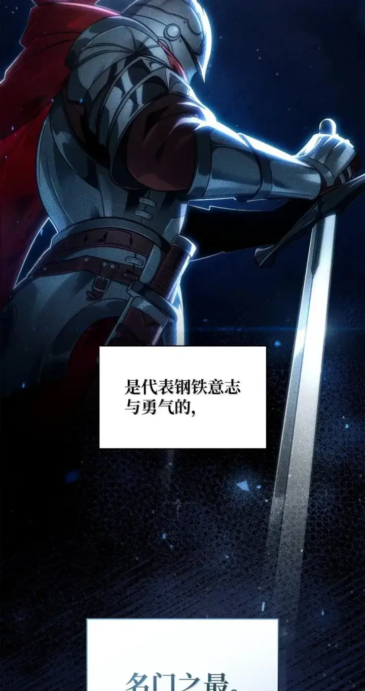 《无限魔法师》99 骑士的信念图27