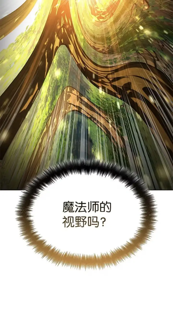 《无限魔法师》108 天才平民图36