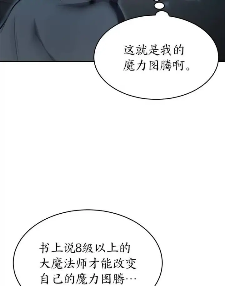 《没药根本撑不住的魔法师》7.魔力图腾图53
