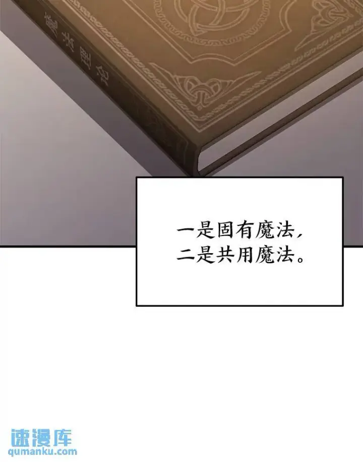 《没药根本撑不住的魔法师》7.魔力图腾图72