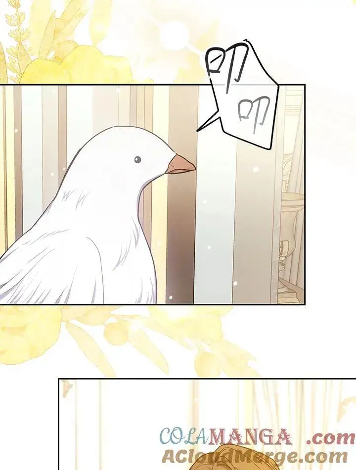 《男主的侄子太喜欢我了》第70话图37