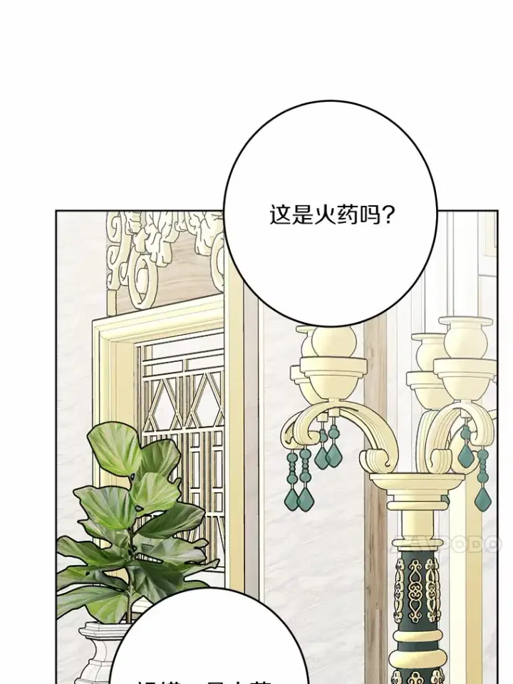 《男主要我对他的黑历史负责》12.火药瓶里的秘密图13
