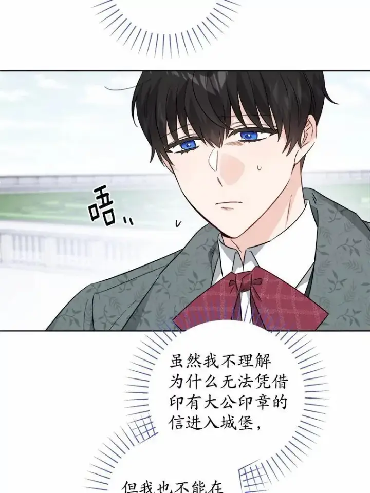 《男主要我对他的黑历史负责》60.皇室宴会图71