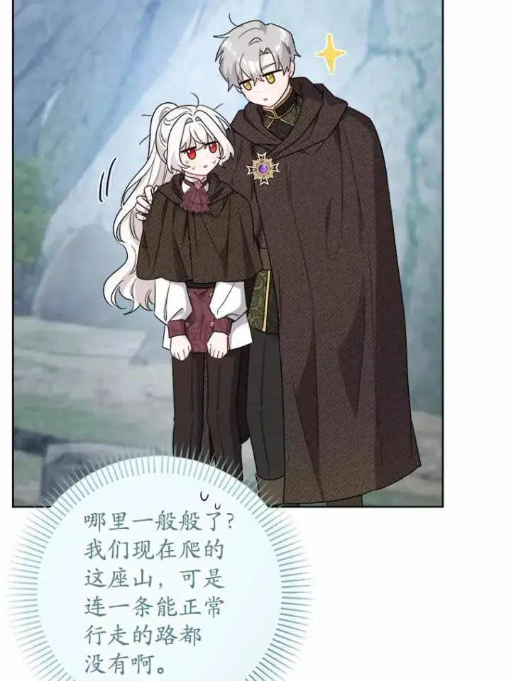 《男主要我对他的黑历史负责》70.登山图19