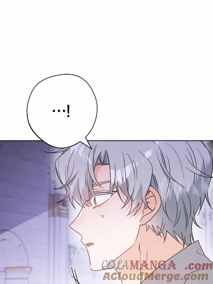 漫画《男主要我对他的黑历史负责》74.艾婕尔的身份第29张图