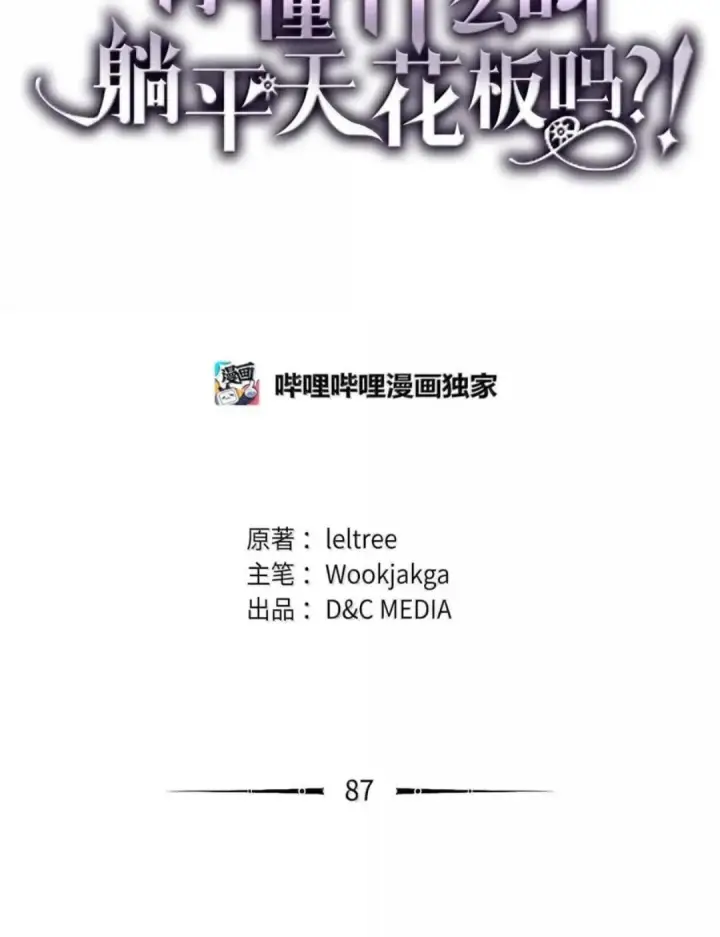 《你懂什么叫躺平天花板吗?!》87 九幻兽图18