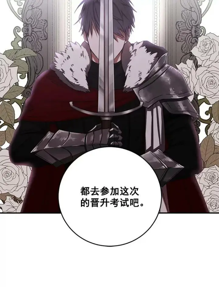 《偶然开启女尊游戏》16.最年轻的副团长图17