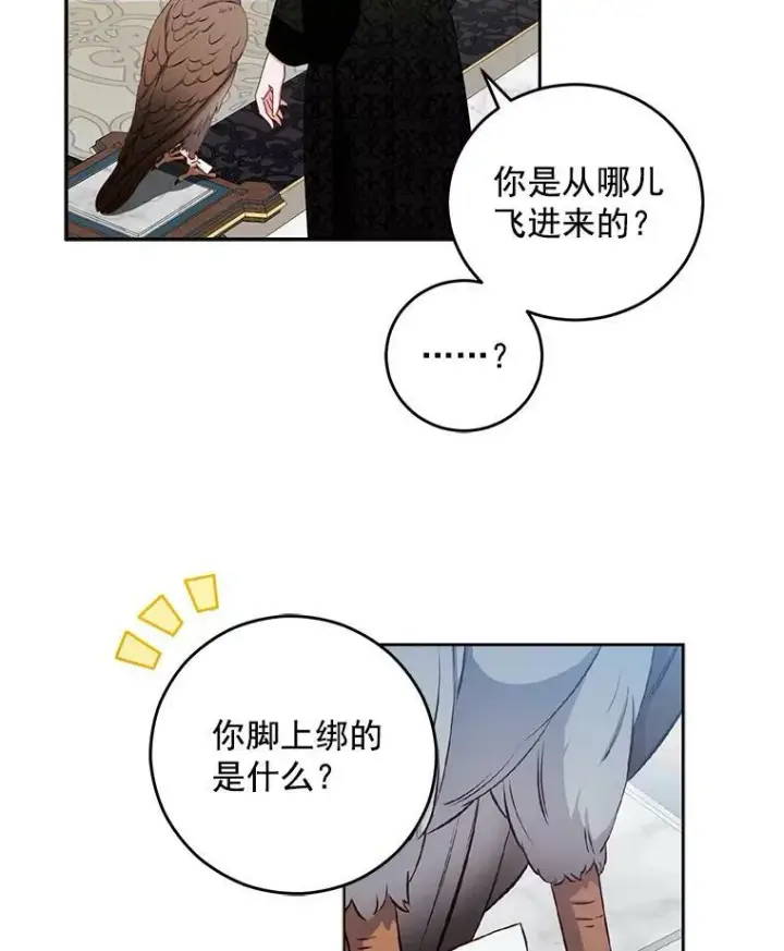 《偶然开启女尊游戏》21.奇怪的传闻图20