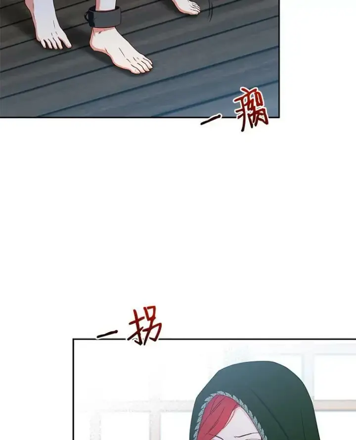 《偶然开启女尊游戏》22.秘密出宫图45