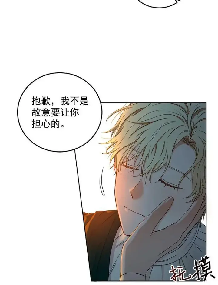 《偶然开启女尊游戏》23.让人看不透的菲西斯图30