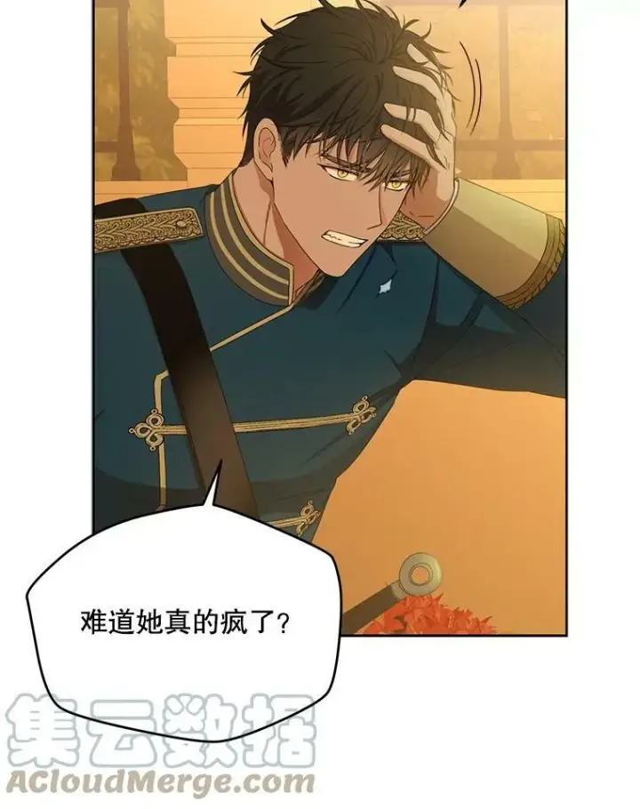 《偶然开启女尊游戏》33.宴会准备图10