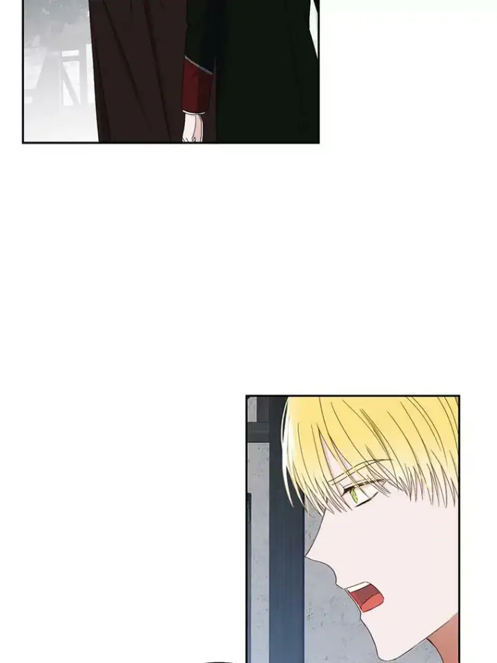 《偶然开启女尊游戏》43.废妾图21