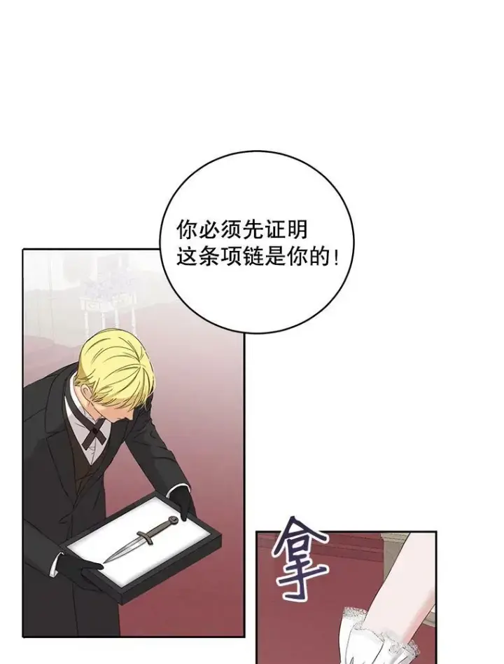 《偶然开启女尊游戏》48.第二个公主图47