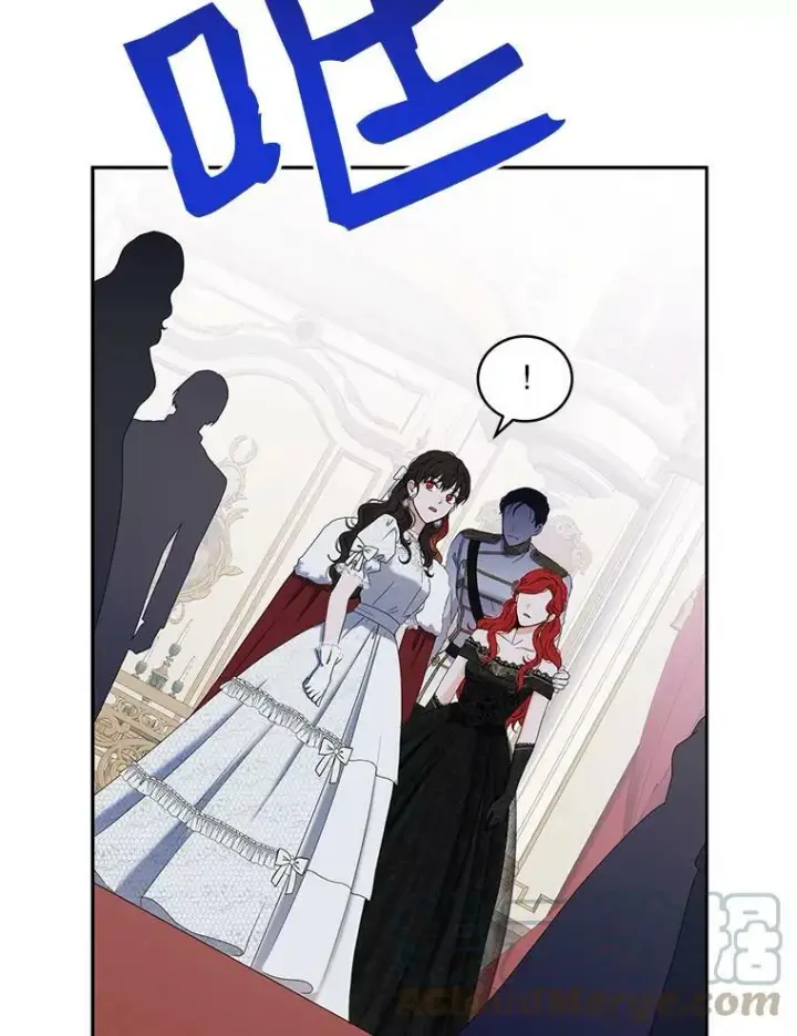 《偶然开启女尊游戏》48.第二个公主图94