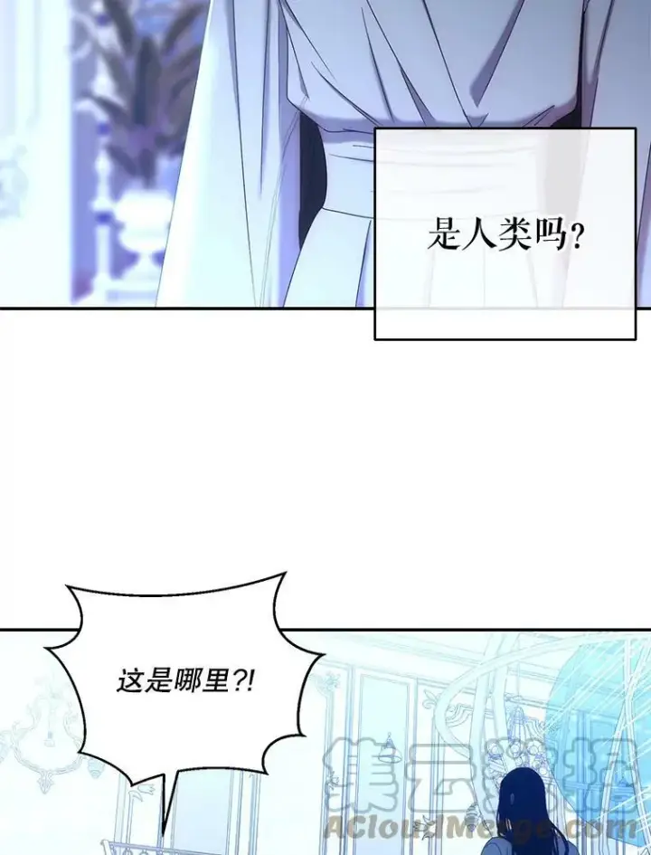 《偶然开启女尊游戏》56.偶遇史格图76