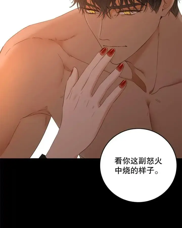 《偶然开启女尊游戏》60.再次攻略图12