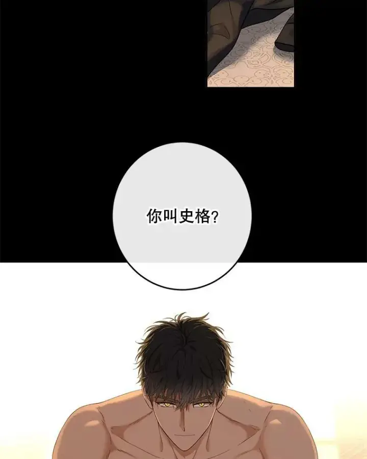 《偶然开启女尊游戏》60.再次攻略图3