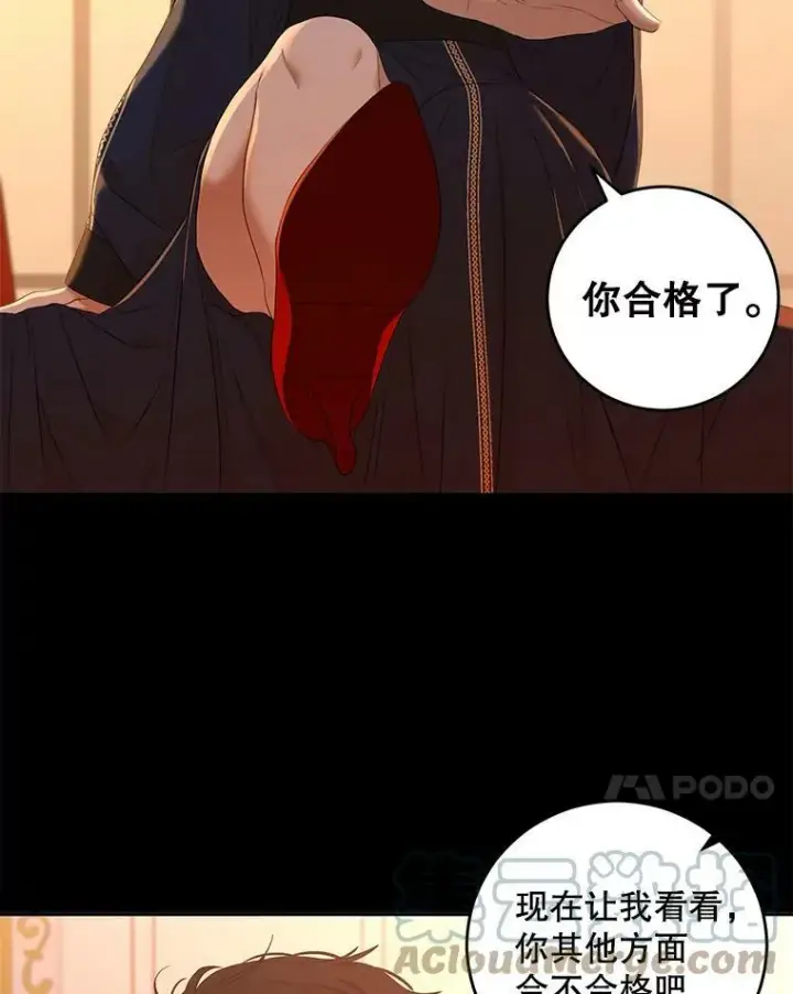 《偶然开启女尊游戏》60.再次攻略图7