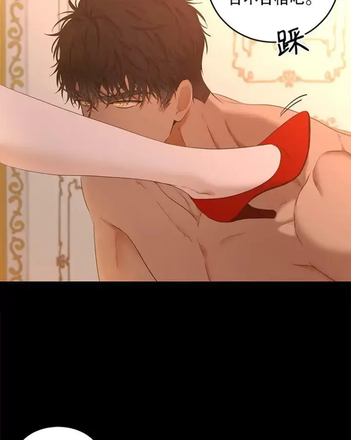 《偶然开启女尊游戏》60.再次攻略图8