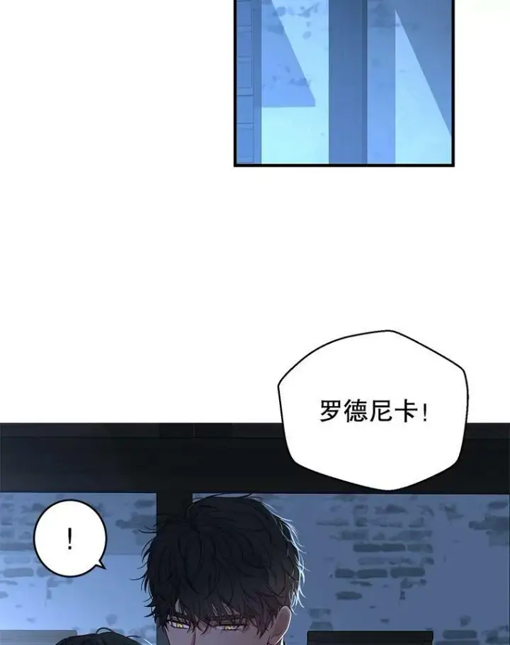 《偶然开启女尊游戏》61.罗德尼卡的献身图2