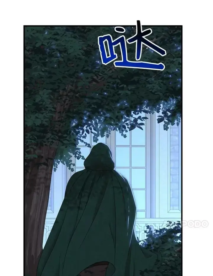 《偶然开启女尊游戏》61.罗德尼卡的献身图21