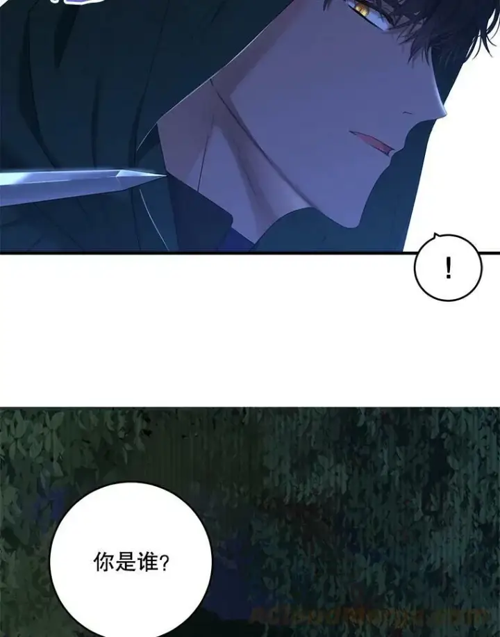 《偶然开启女尊游戏》61.罗德尼卡的献身图55